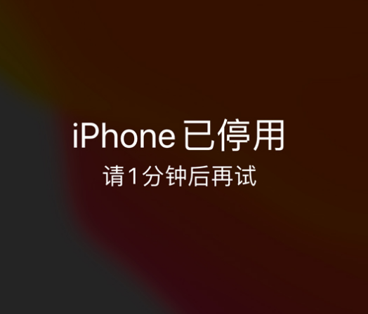 盘龙苹果手机维修分享:iPhone 显示“不可用”或“已停用”怎么办？还能保留数据吗？ 