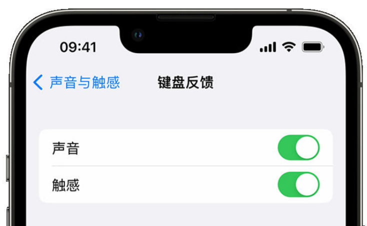 盘龙苹果手机维修分享iPhone 14触感键盘使用方法 