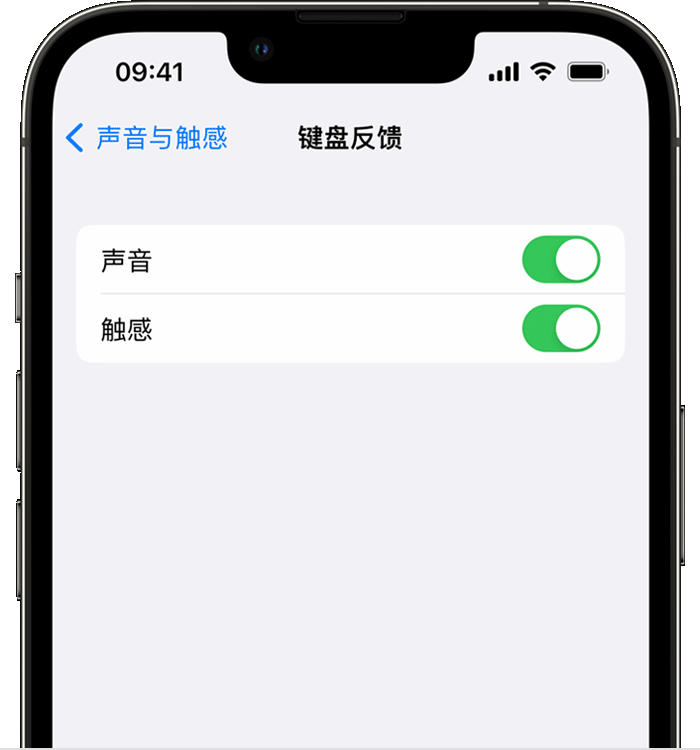 盘龙苹果14维修店分享如何在 iPhone 14 机型中使用触感键盘 