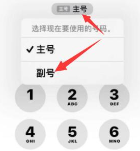 盘龙苹果14维修店分享iPhone 14 Pro Max使用副卡打电话的方法 