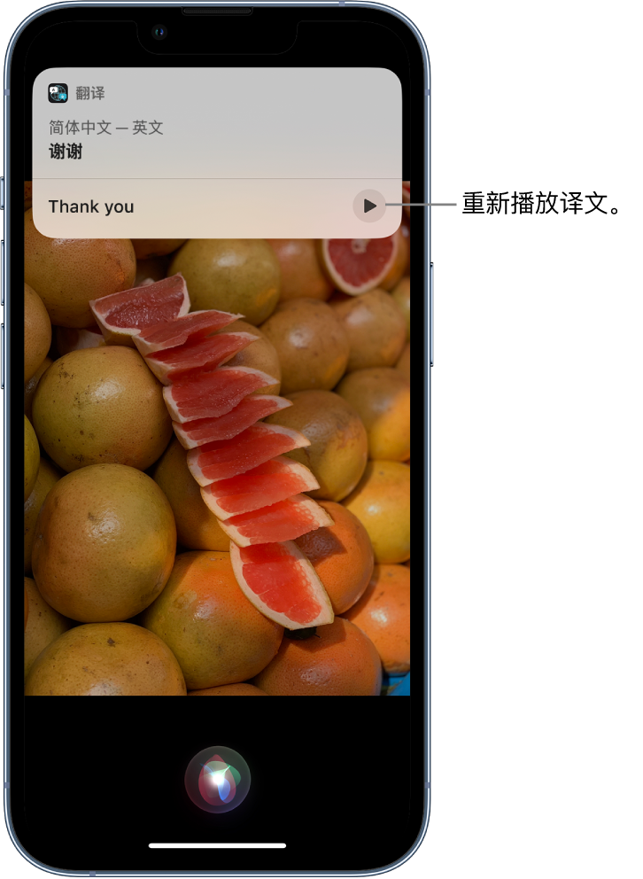 盘龙苹果14维修分享 iPhone 14 机型中使用 Siri：了解 Siri 能帮你做什么 