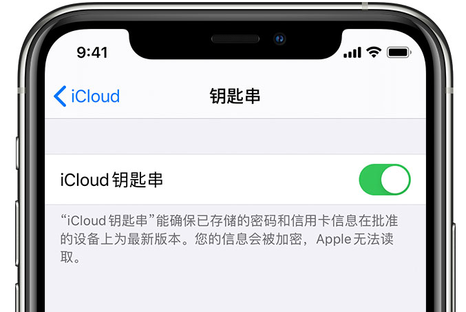 盘龙苹果手机维修分享在 iPhone 上开启 iCloud 钥匙串之后会储存哪些信息 