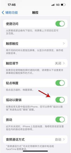 盘龙苹果手机维修分享iPhone手机如何设置摇一摇删除文字 