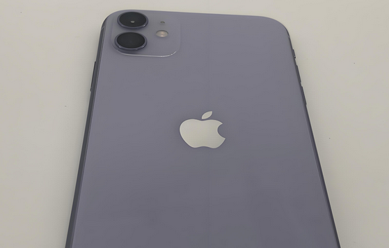 盘龙苹果11系统维修分享iPhone11手机系统崩溃无法开机如何解决 